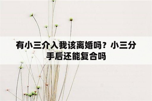 有小三介入我该离婚吗？小三分手后还能复合吗