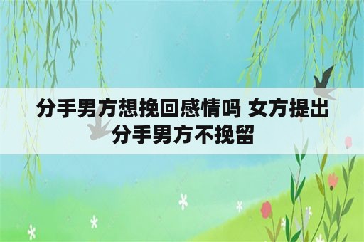 分手男方想挽回感情吗 女方提出分手男方不挽留