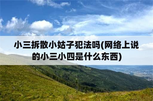 小三拆散小姑子犯法吗(网络上说的小三小四是什么东西)