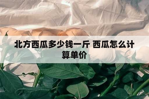 北方西瓜多少钱一斤 西瓜怎么计算单价