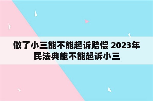 做了小三能不能起诉赔偿 2023年民法典能不能起诉小三