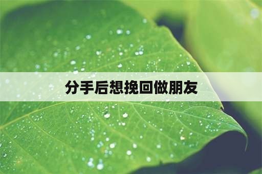 分手后想挽回做朋友