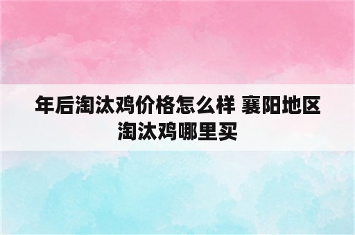 年后淘汰鸡价格怎么样 襄阳地区淘汰鸡哪里买