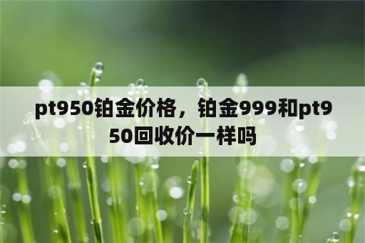 pt950铂金价格，铂金999和pt950回收价一样吗