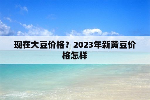 现在大豆价格？2023年新黄豆价格怎样