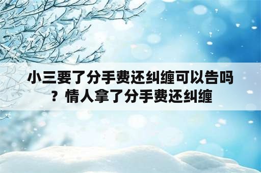 小三要了分手费还纠缠可以告吗？情人拿了分手费还纠缠