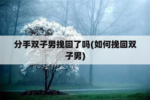 分手双子男挽回了吗(如何挽回双子男)