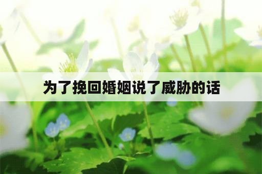 为了挽回婚姻说了威胁的话