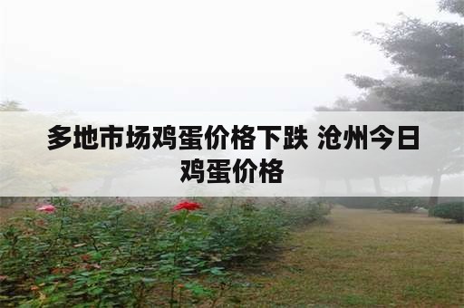 多地市场鸡蛋价格下跌 沧州今日鸡蛋价格