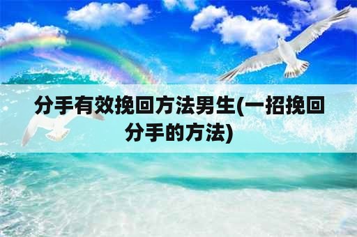 分手有效挽回方法男生(一招挽回分手的方法)