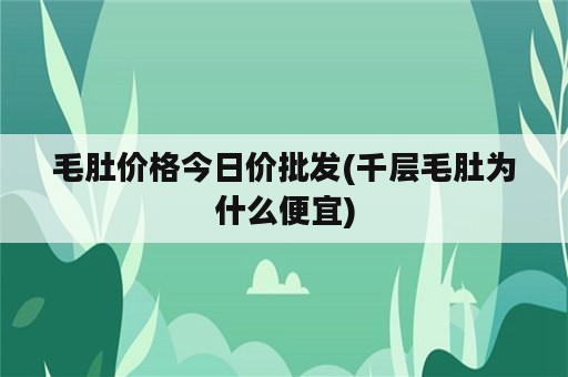 毛肚价格今日价批发(千层毛肚为什么便宜)