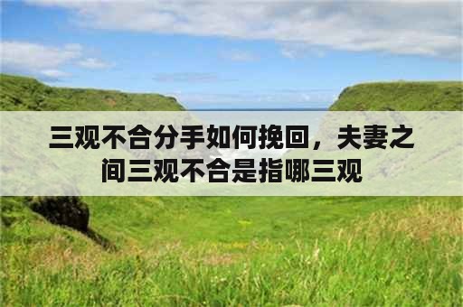 三观不合分手如何挽回，夫妻之间三观不合是指哪三观