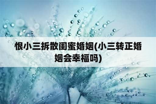 恨小三拆散闺蜜婚姻(小三转正婚姻会幸福吗)