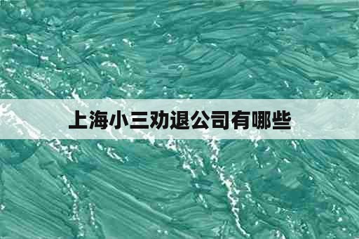 上海小三劝退公司有哪些