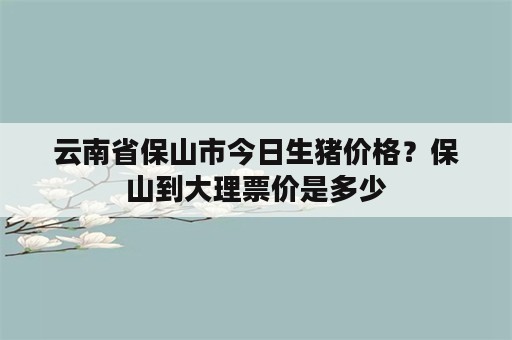 云南省保山市今日生猪价格？保山到大理票价是多少