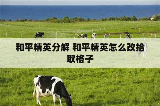 和平精英分解 和平精英怎么改拾取格子