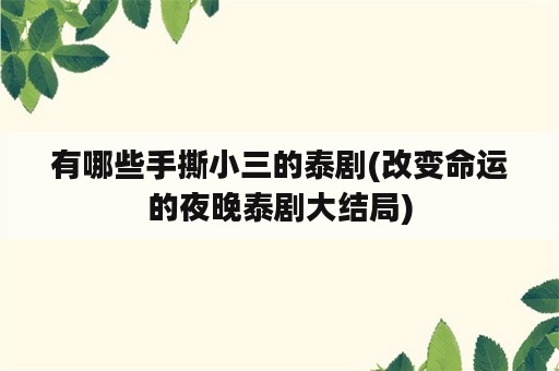 有哪些手撕小三的泰剧(改变命运的夜晚泰剧大结局)