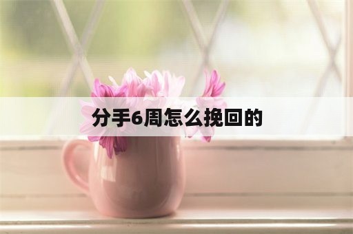 分手6周怎么挽回的