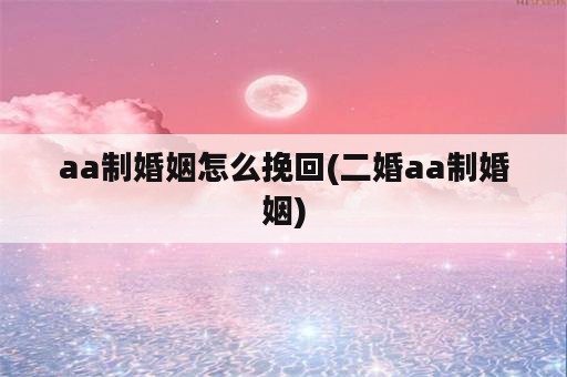 aa制婚姻怎么挽回(二婚aa制婚姻)