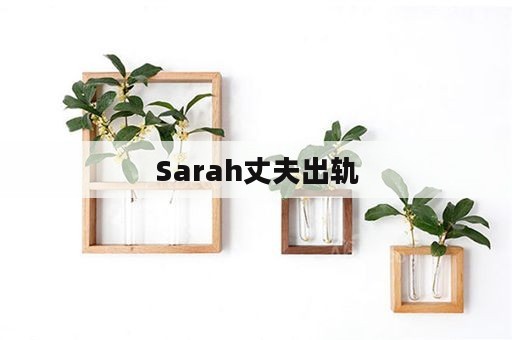 Sarah丈夫出轨