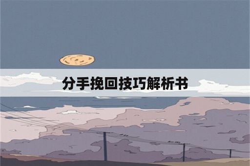 分手挽回技巧解析书