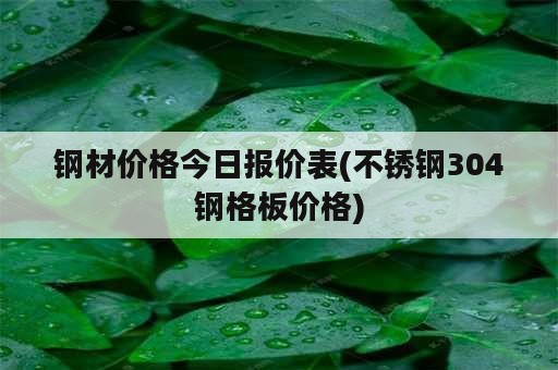 钢材价格今日报价表(不锈钢304钢格板价格)