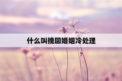 什么叫挽回婚姻冷处理