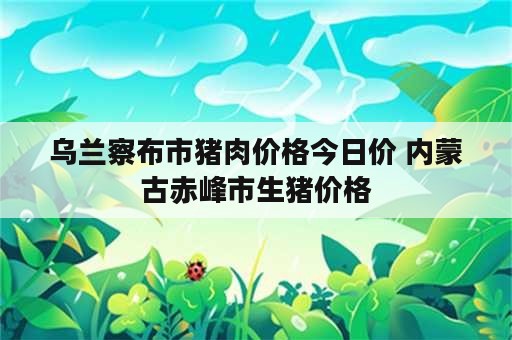 乌兰察布市猪肉价格今日价 内蒙古赤峰市生猪价格