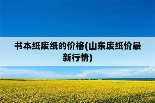 书本纸废纸的价格(山东废纸价最新行情)