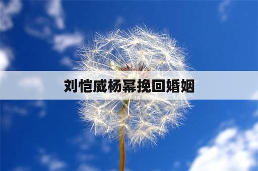 刘恺威杨幂挽回婚姻