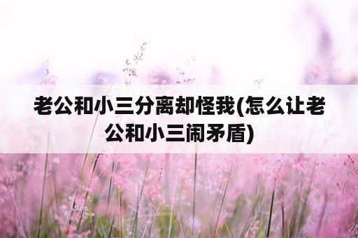 老公和小三分离却怪我(怎么让老公和小三闹矛盾)