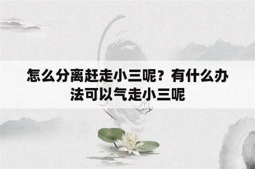 怎么分离赶走小三呢？有什么办法可以气走小三呢