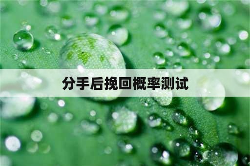 分手后挽回概率测试