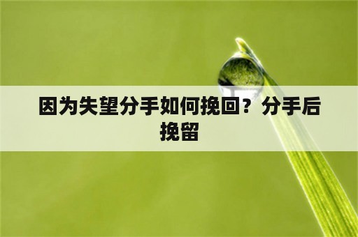 因为失望分手如何挽回？分手后挽留