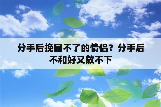 分手后挽回不了的情侣？分手后不和好又放不下