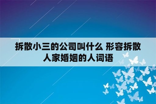 拆散小三的公司叫什么 形容拆散人家婚姻的人词语