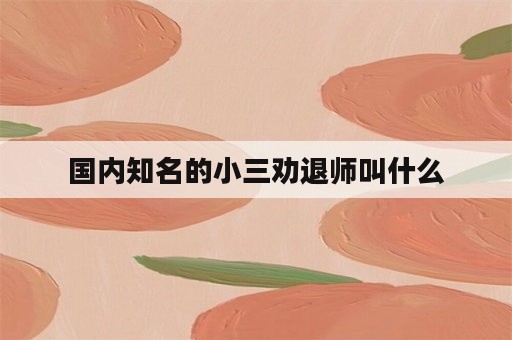 国内知名的小三劝退师叫什么