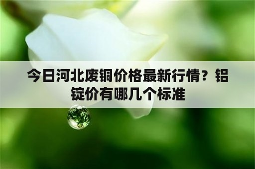 今日河北废铜价格最新行情？铝锭价有哪几个标准