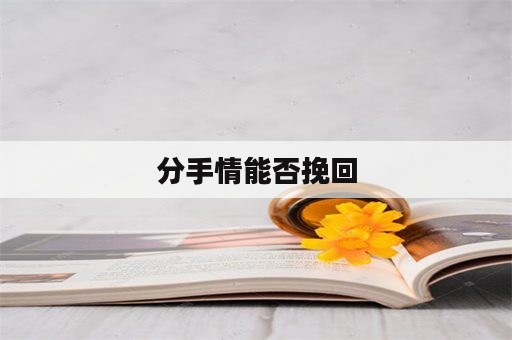 分手情能否挽回