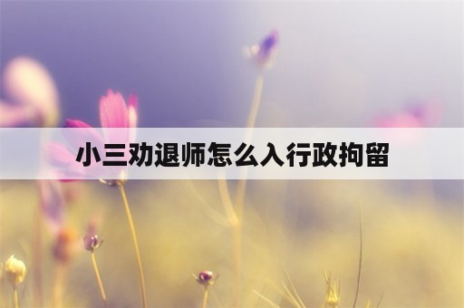 小三劝退师怎么入行政拘留