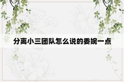 分离小三团队怎么说的委婉一点