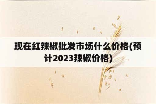 现在红辣椒批发市场什么价格(预计2023辣椒价格)