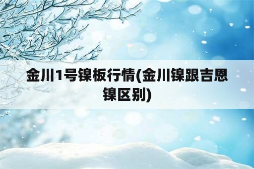 金川1号镍板行情(金川镍跟吉恩镍区别)