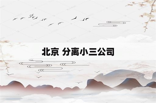 北京 分离小三公司