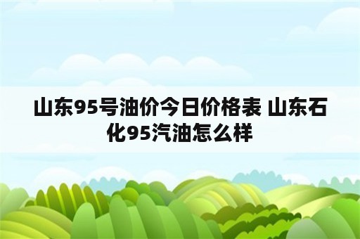 山东95号油价今日价格表 山东石化95汽油怎么样