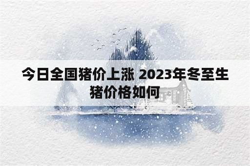 今日全国猪价上涨 2023年冬至生猪价格如何