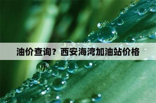 油价查询？西安海湾加油站价格