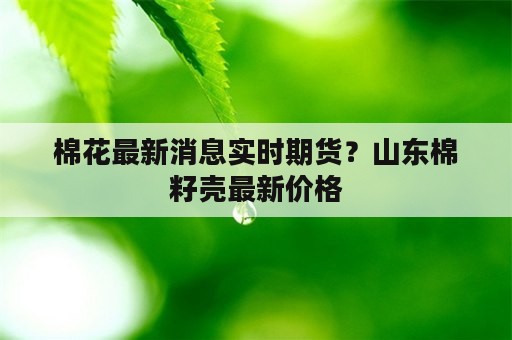 棉花最新消息实时期货？山东棉籽壳最新价格