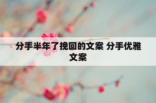 分手半年了挽回的文案 分手优雅文案