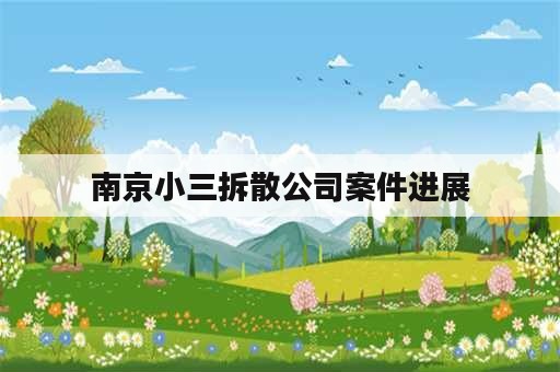 南京小三拆散公司案件进展